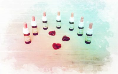 Bachblüten für deinen Herzensweg – Teil 3: Dir erlauben, den Weg deines Herzens zu wählen